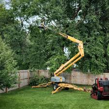 Best Grass Overseeding  in Kings Point, NY