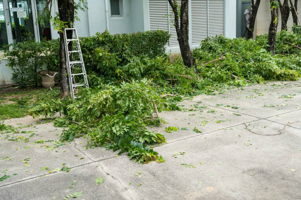 Best Lawn Drainage Solutions  in Kings Point, NY